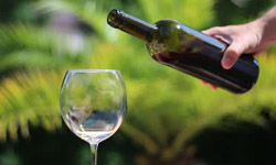 IboIsland Wine