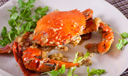 IboIsland cook5