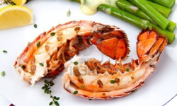 IboIsland cook7