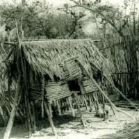 Carlos lopes bento - galinheiro - 1970 -  ibo island