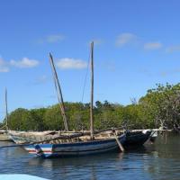 Iboisland town 02