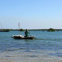 Iboisland town 16