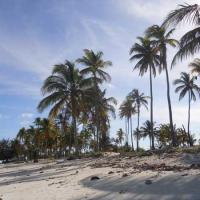 Matemoisland quirimbas 04
