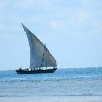 Quirimba dhow 05
