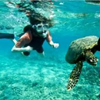 Quirimbas diving 05