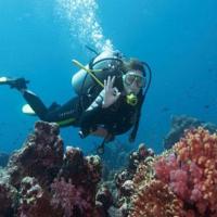 Quirimbas diving 07
