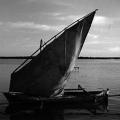 Quirimbas Dhows